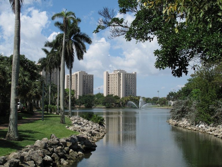 university of miami