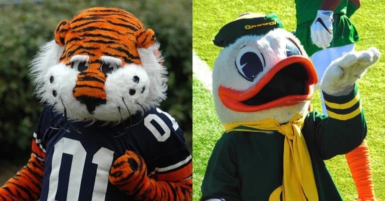 Best College Mascots