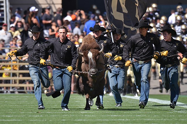 Ralphie(University of Colorado)