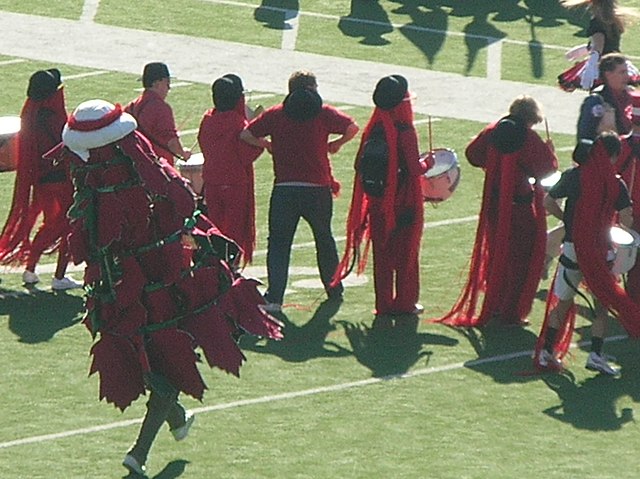 The Stanford Tree(Stanford University) 